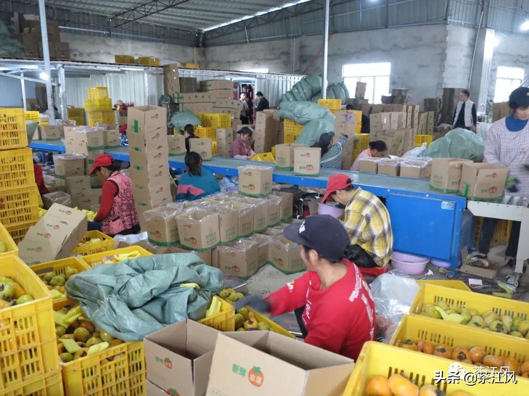 贫困县扶上马送一程,扶上马送一程确保脱贫经得起检验