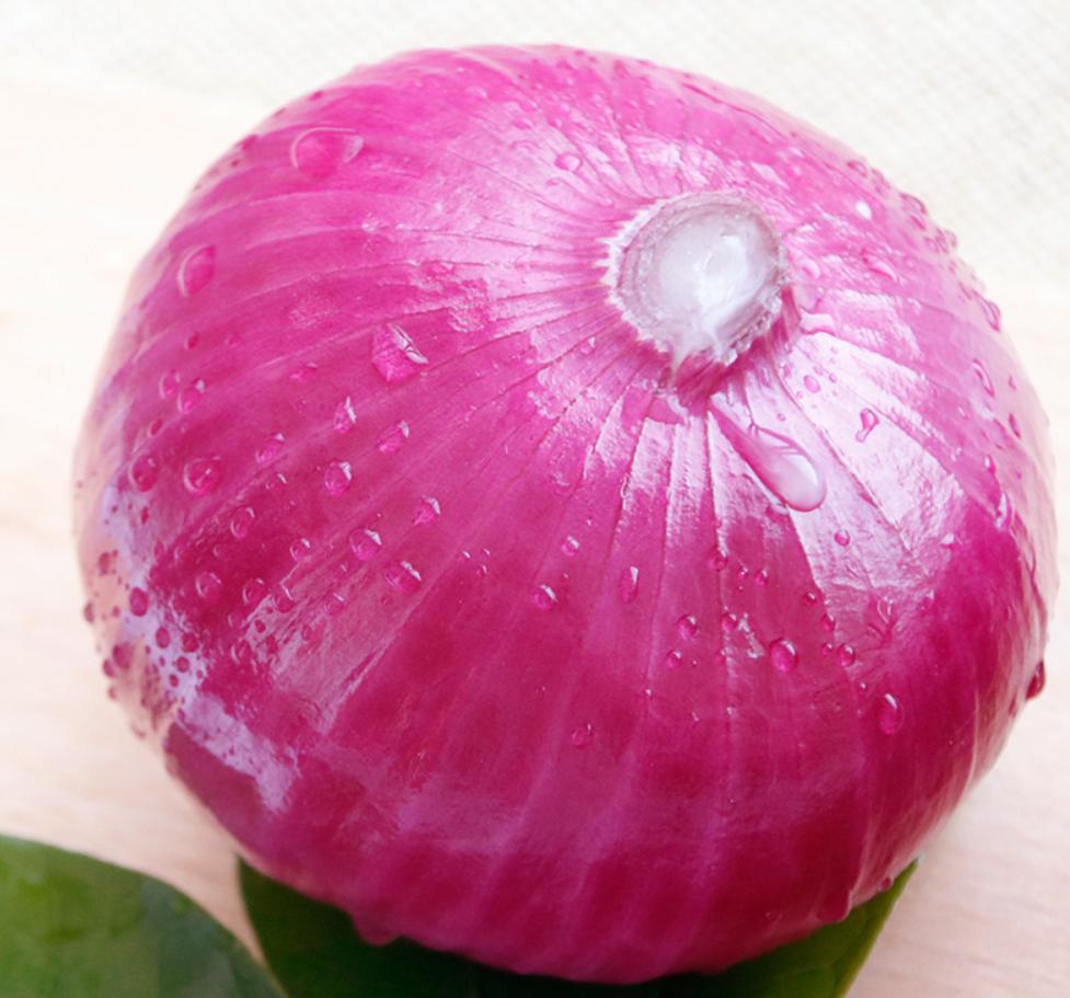 为何蛇类不怕雄黄粉了？蛇最怕什么？这就来解释原因