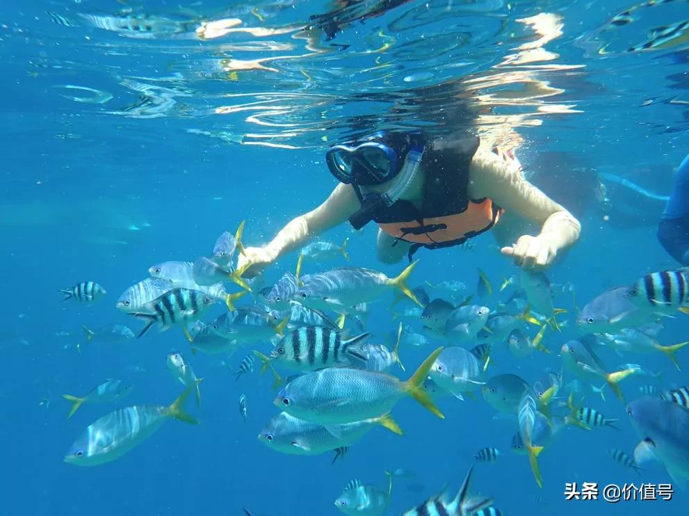 想去帕劳旅游哪个旅行社可以,想去帕劳怎么走