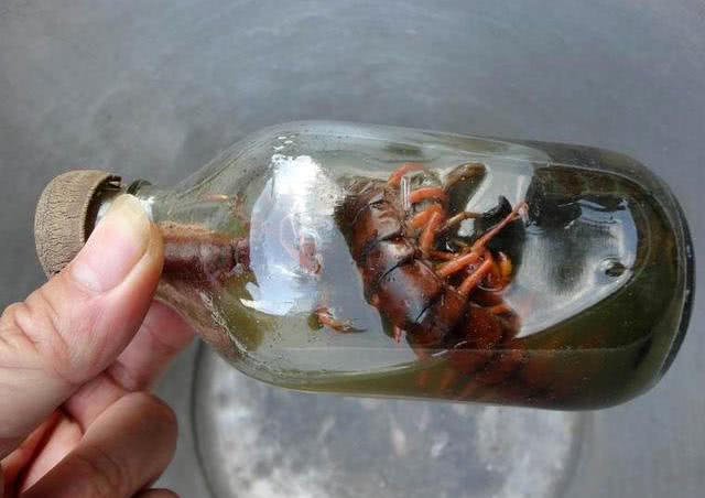 晚上夜钓老是有蜈蚣怎么防,野钓怎样防止蜈蚣最有效