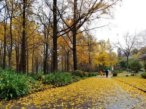 声律启蒙笠翁对韵插图,笠翁对韵声律启蒙123段完整版