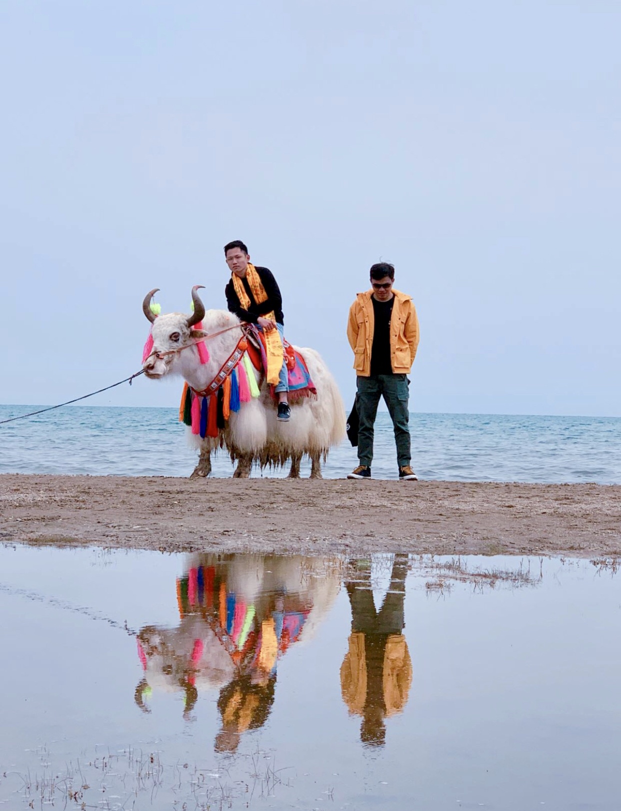 玩转西宁攻略,青海西宁之旅