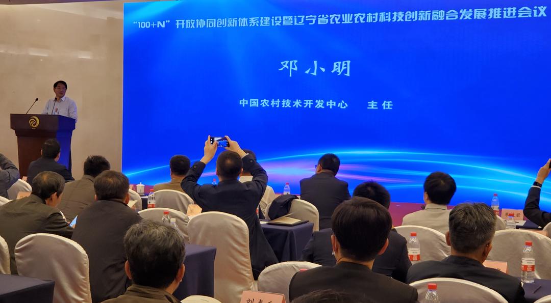 沈阳日报12月13日,沈阳新闻9月16日