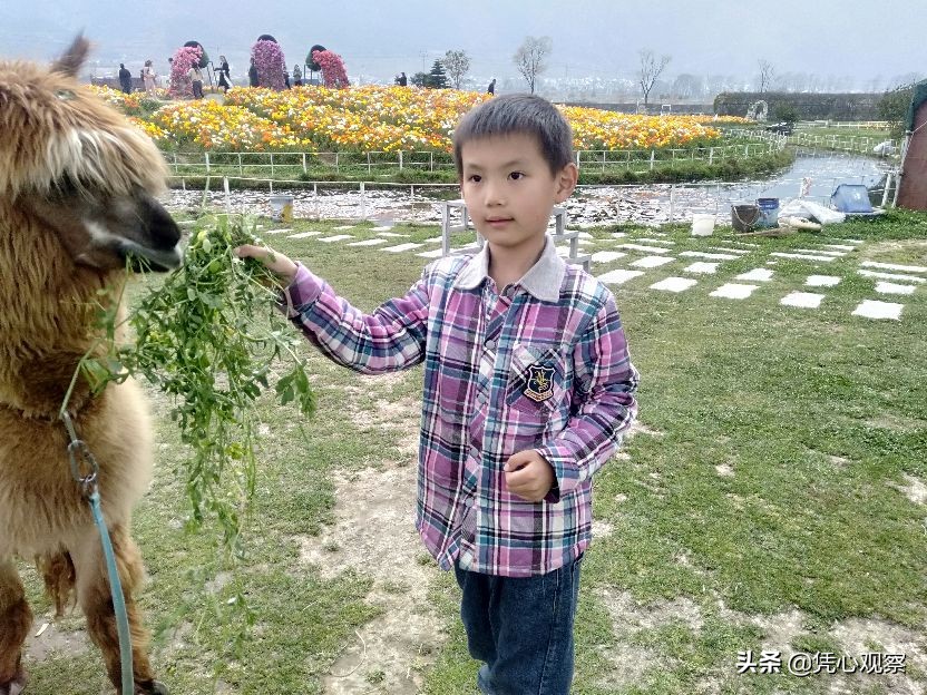 童心飞扬坊,童心飞扬