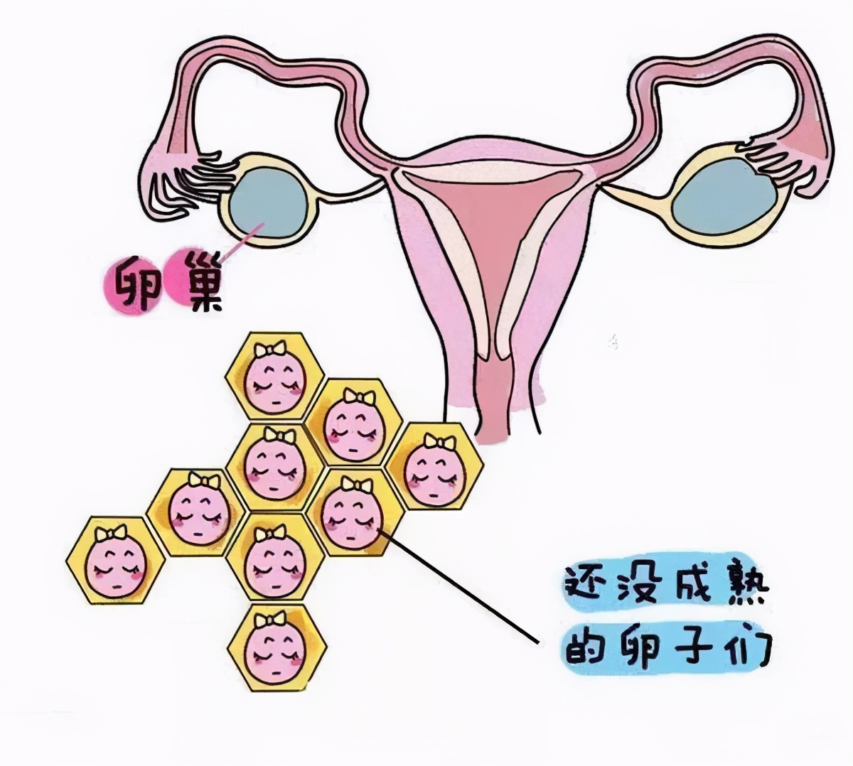 孕早期输卵管积水有影响吗,宝宝迟迟还不来怎么办