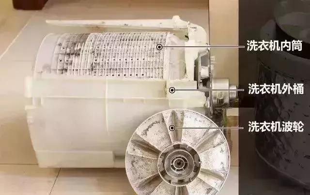 长时间不清洗的洗衣机有什么细菌,为什么放进洗衣机的衣服有霉菌