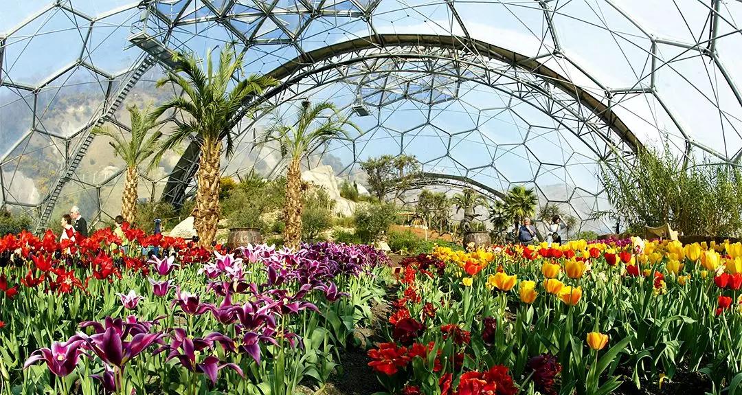 世界第八大奇迹：废矿变身伊甸园，年游客超两百万