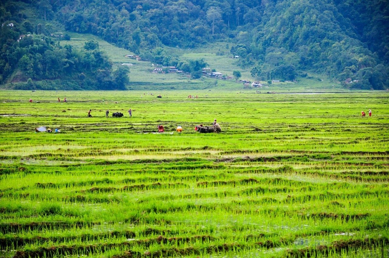 暮春来,暮春初夏的唯美诗词