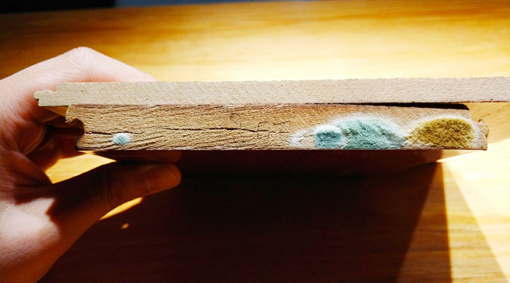 上台讲解装修案例,亲身传授装修攻略