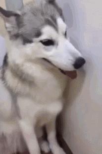 治愈洁癖强迫症的方法,洁癖强迫症治愈方法