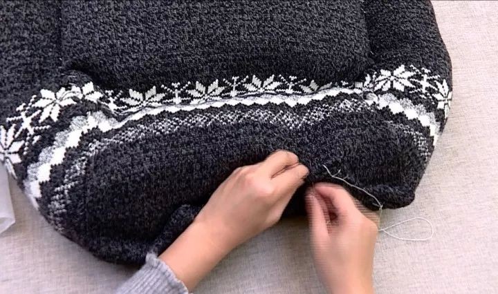 盘点铲屎官养的那些小宠物,铲屎官整宠物