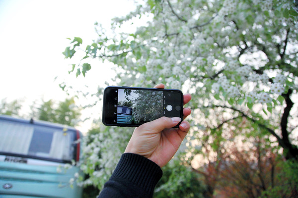 春游江淮请你来滁州版,春游江淮等您来