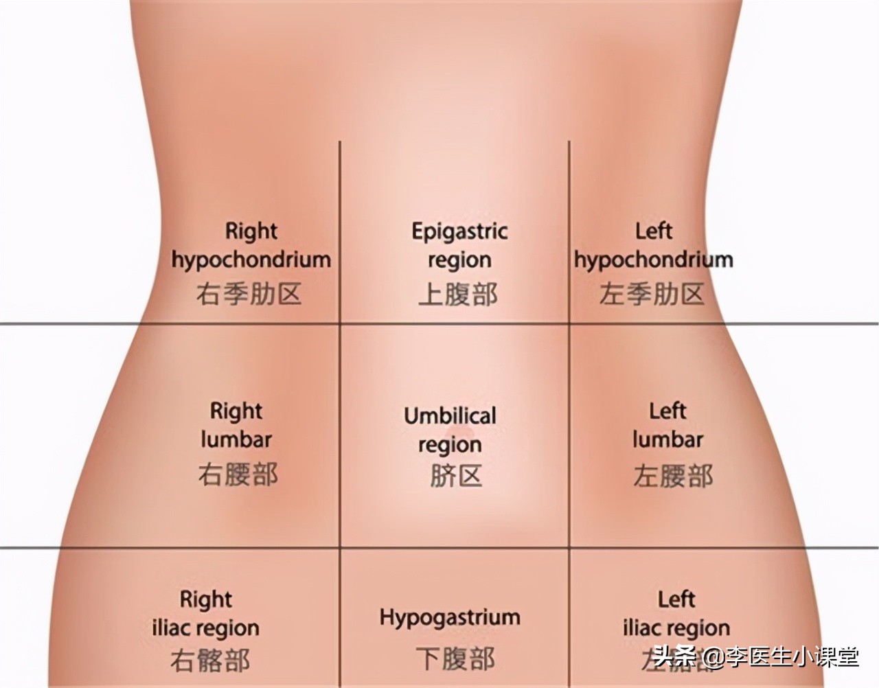 胃肠黏膜受损怎么治疗,胃肠黏膜受损的症状