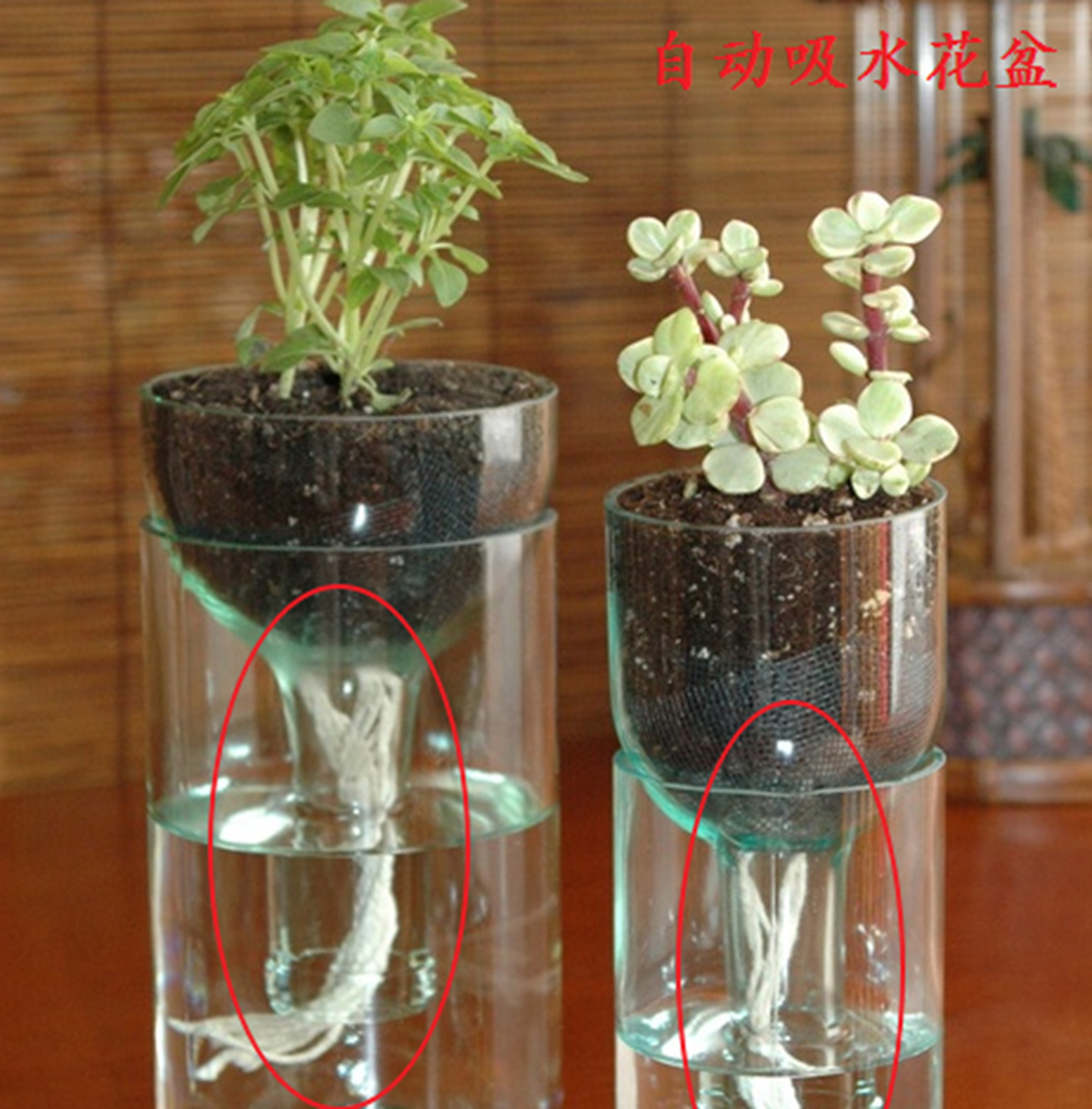 自制给花浇水神器,懒人养植物神器