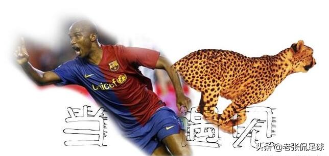 世界足坛球星名字,nba球星的动物绰号