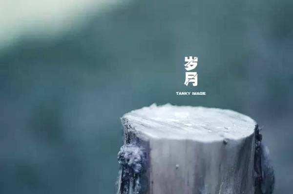 为什么在遇事第一时间都会认怂,人该认怂的时间就得认怂