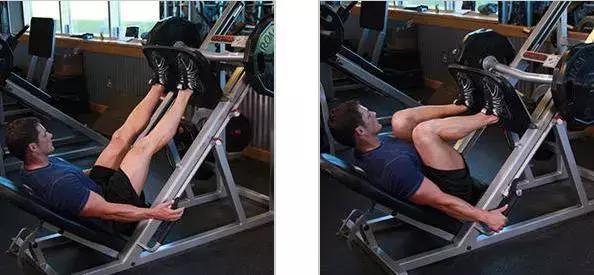 练腿为啥能促睾,为什么练腿可以促睾