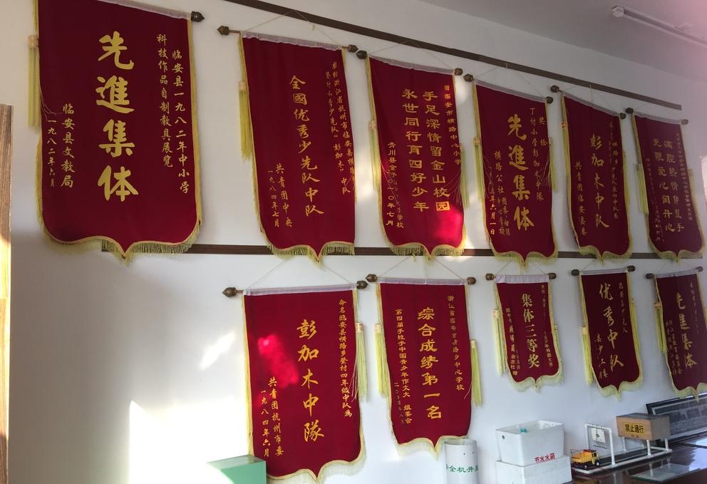 临安最好的小学是哪个,临安小学入学要求