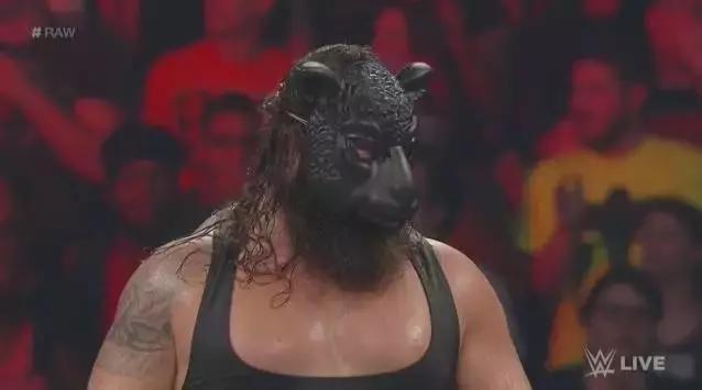 wwe十大毒蛇兰迪精彩时刻,2019wwe毒蛇兰迪全场比赛