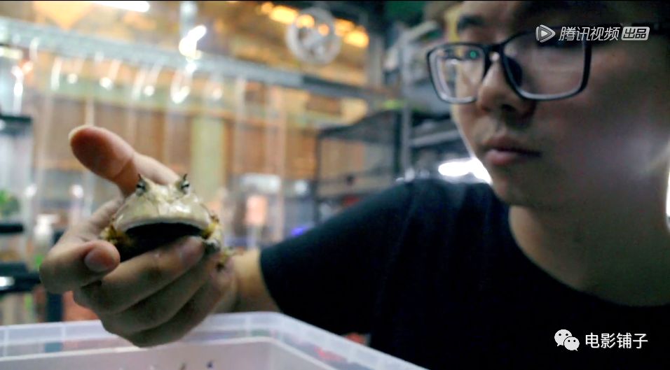 如此「变态」的欲望，这届有钱人真猛