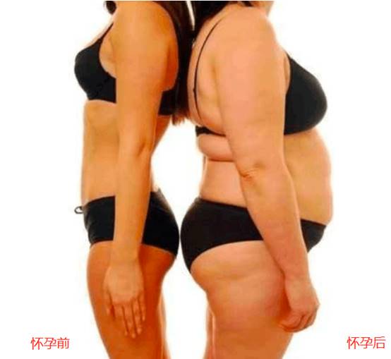 明星怀孕二胞胎40周的过程,为什么明星怀孕恢复快