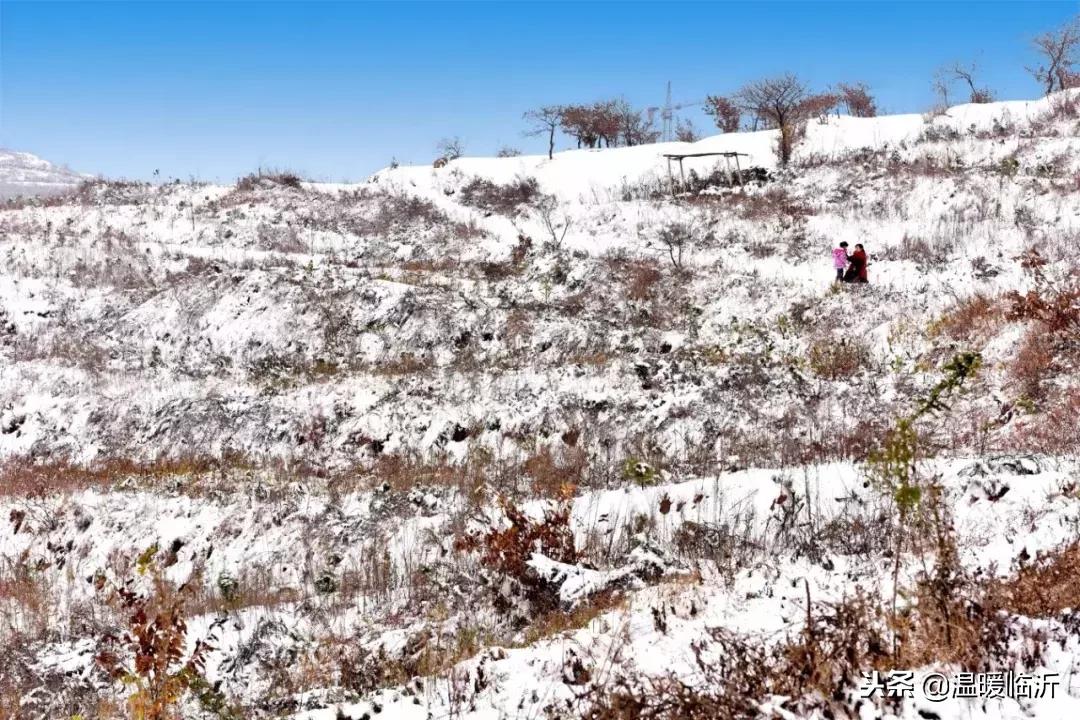 雪后的临沭小城，美得令人窒息