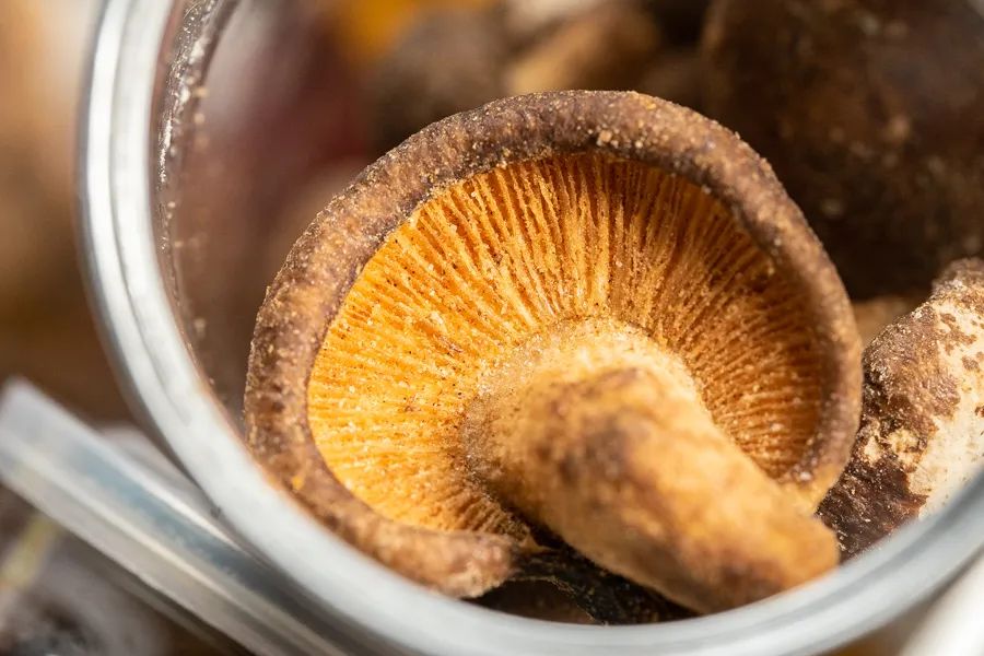 冻干果蔬干排行榜,15种综合果蔬干淘宝