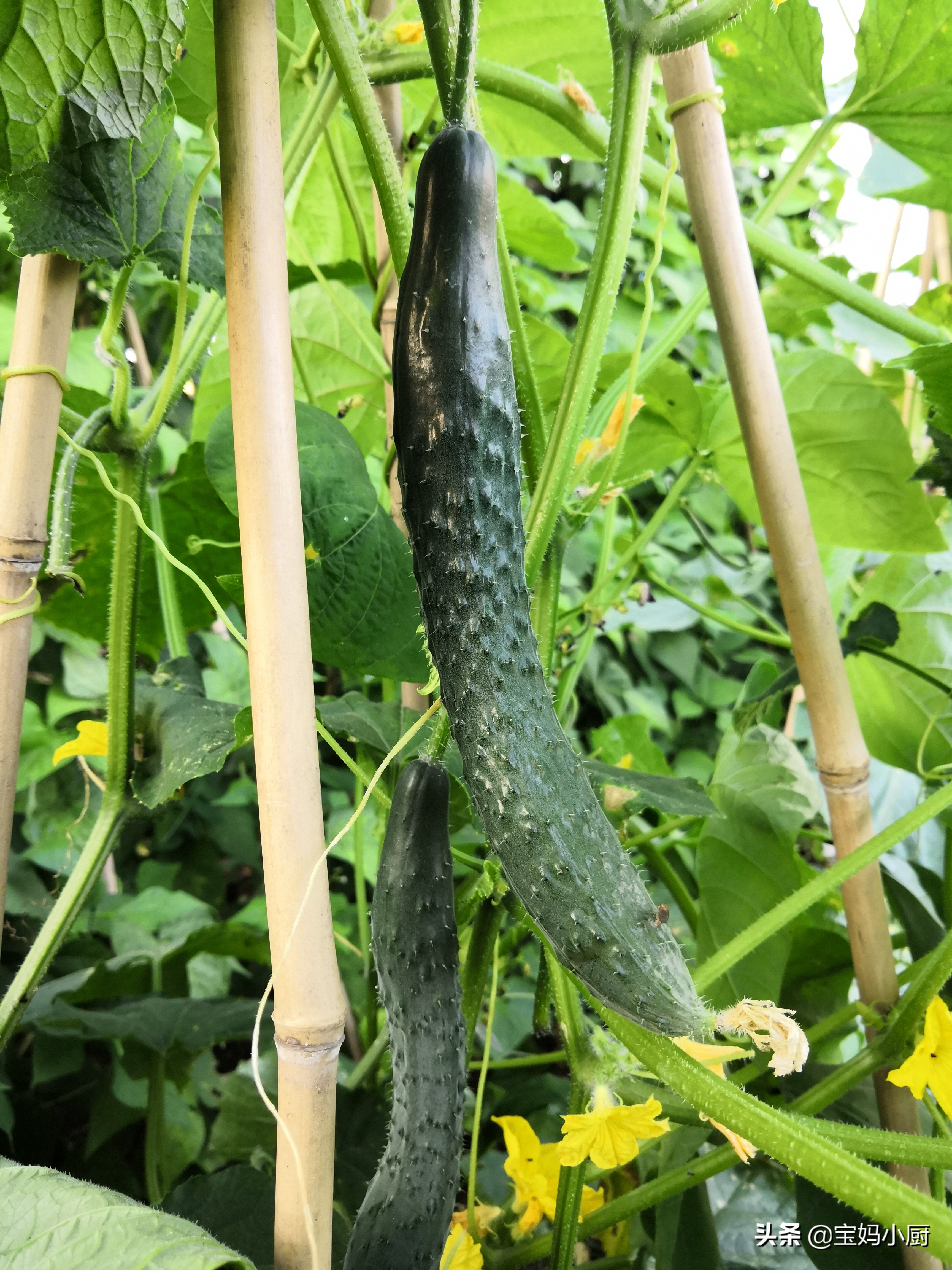 记录在娘家吃吃喝喝的美好时光,娘家最幸福的早餐