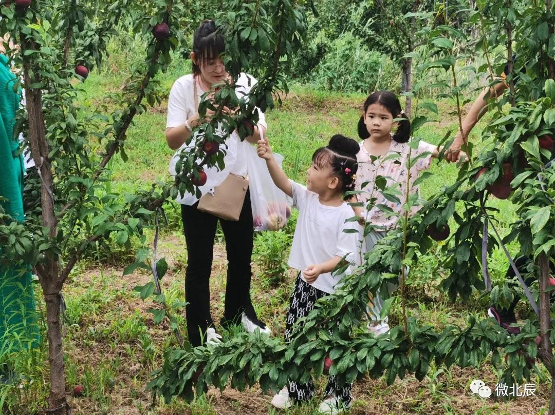 天津市乡村旅游示范片区,天津最好的乡村旅游区