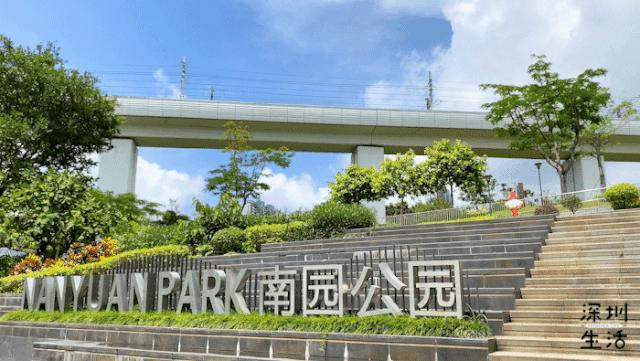 有哪些好玩的地方适合儿童深圳,深圳适合小朋友玩的8个免费景点