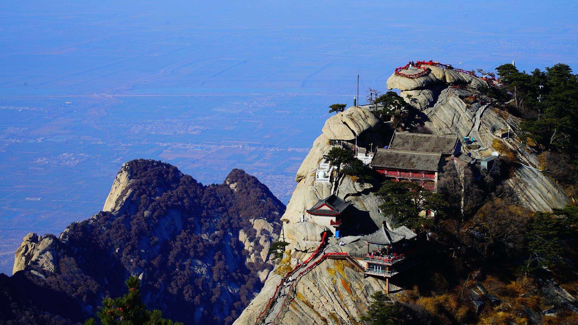 创新品类营销方式,品类第一营销案例