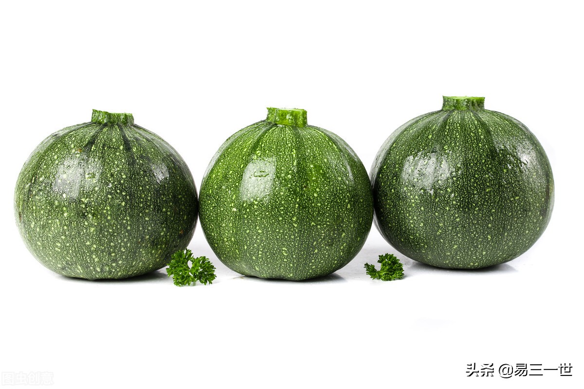 南瓜北瓜是一种瓜吗,南瓜北瓜都是瓜