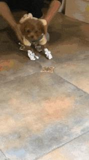 开心一刻gif搞笑动图,搞笑gif段子看起来能量满满