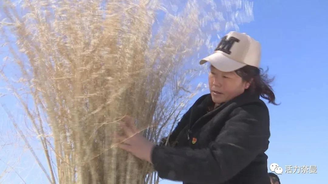 奈曼扶贫一点通,奈曼百企帮百村扶贫