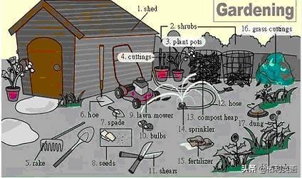 36张图记住英文生活用词,3-6岁儿童必背英语24个单词