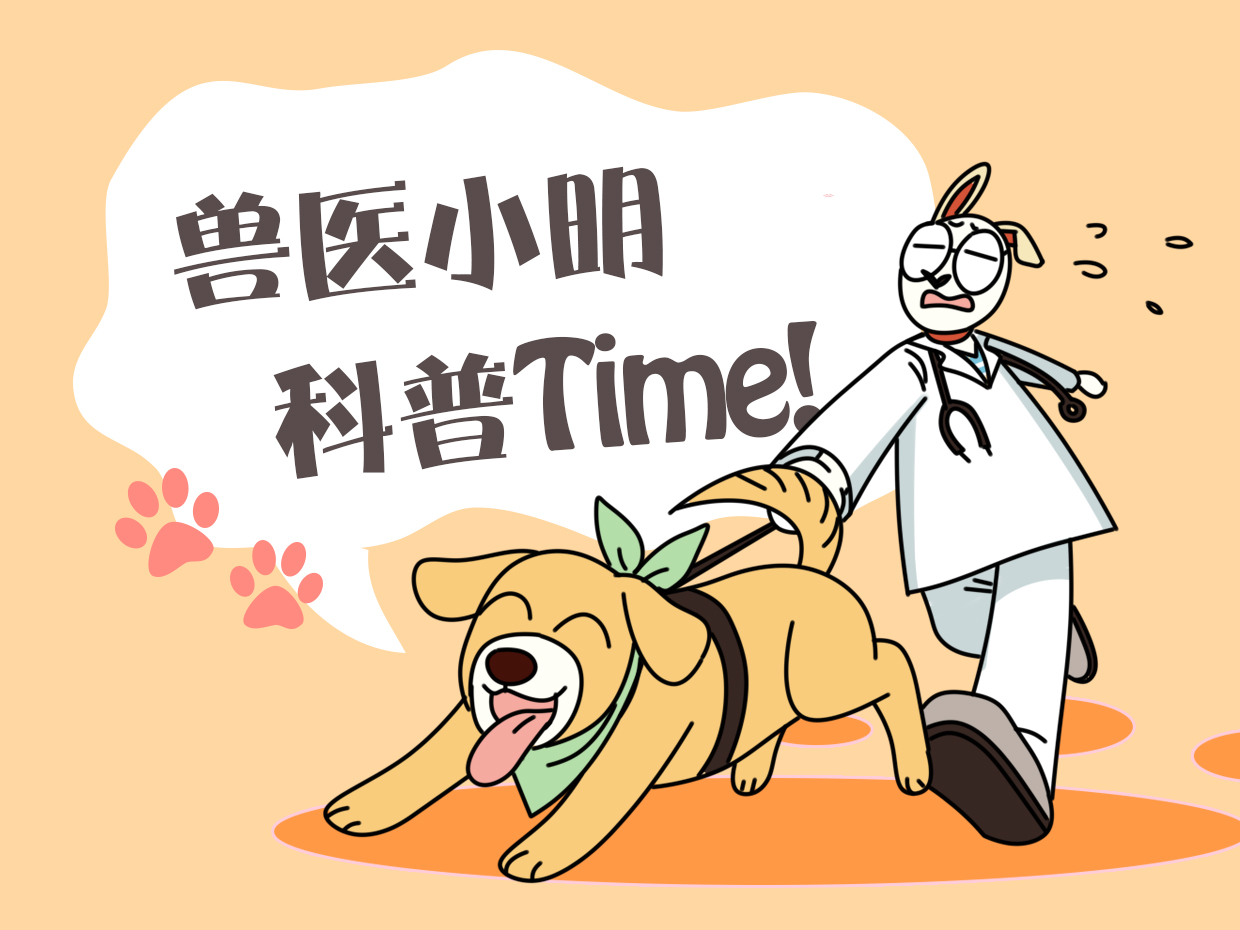 仓鼠长瘤什么原因,一女子买了一只仓鼠