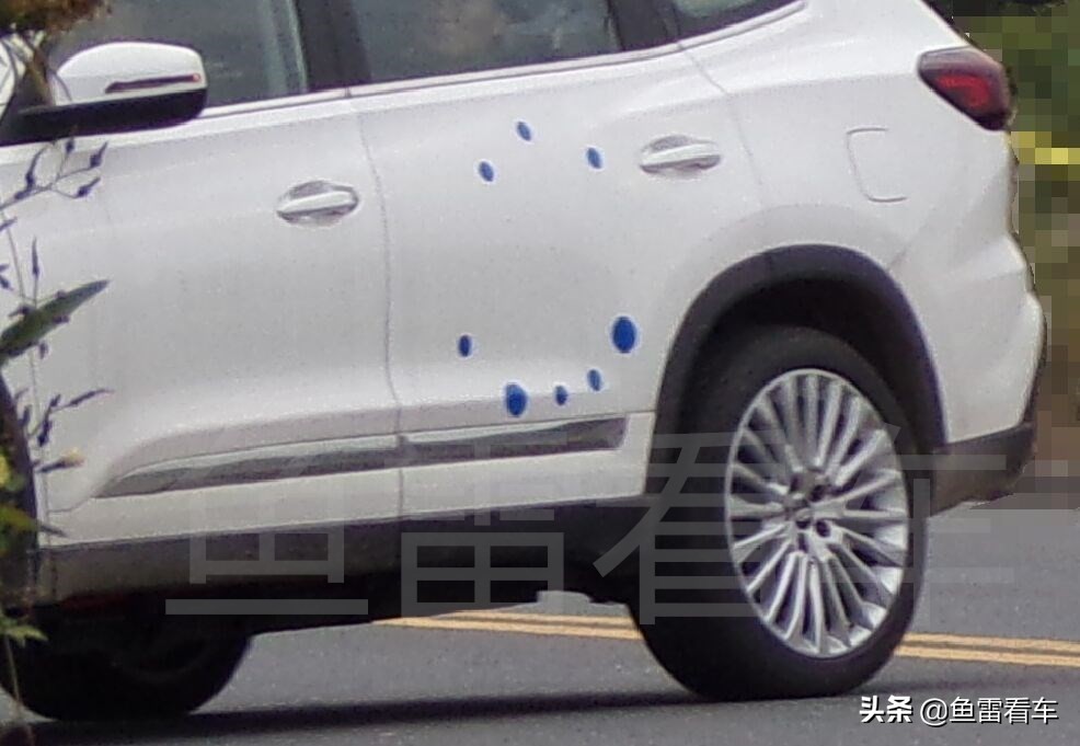 不玩虚的,不玩虚的动真格