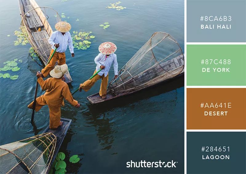 色彩搭配个人形象设计,色彩搭配都是业主亲自选择