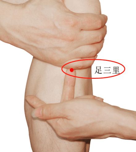 人老腿先衰是精气不足了吗,人老腿先衰诗词