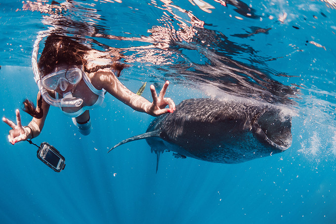 寻求心灵的平静安逸,寻求内心的宁静与平和