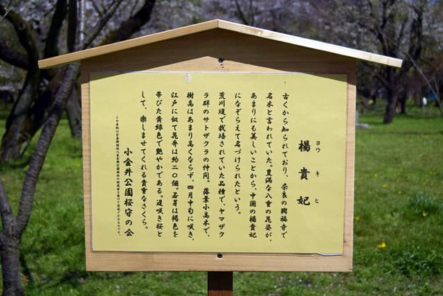 日本俳句唐诗宋词,俳句是不是日本独特的文化形式