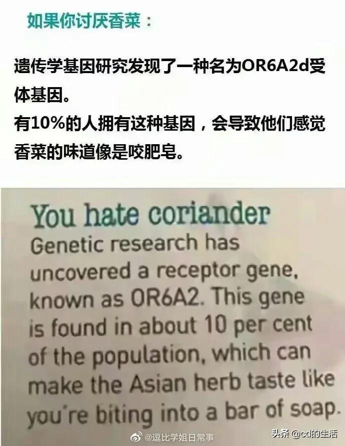 m78基因跟吃香菜有什么关系,不喜欢吃香菜的科学原因