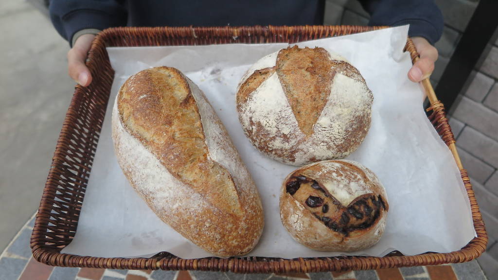 梅窝游玩,梅窝一日游最佳路线