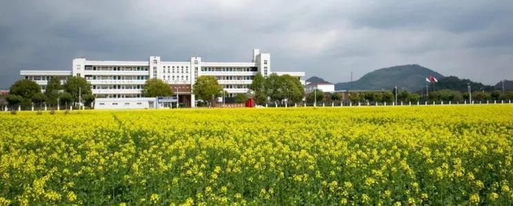 萧山将建高中在哪,萧山2025年新建学校