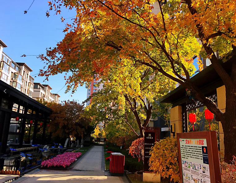 金地物业沈阳分公司总经理,金地物业2019排行