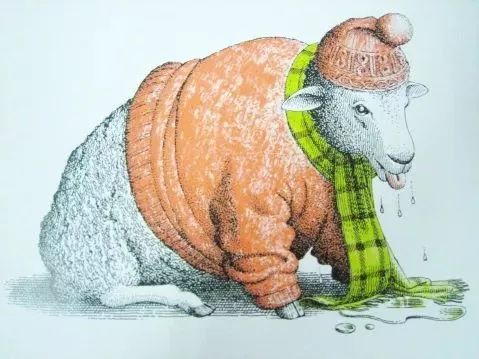 绘本推荐|《动物绝对不应该穿衣服》超级搞笑又有创意的绘本