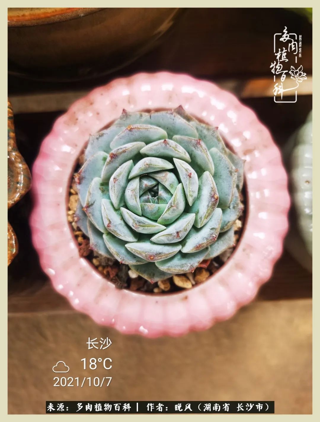 摇身一变成了奶爸,摇身一变成为打工人