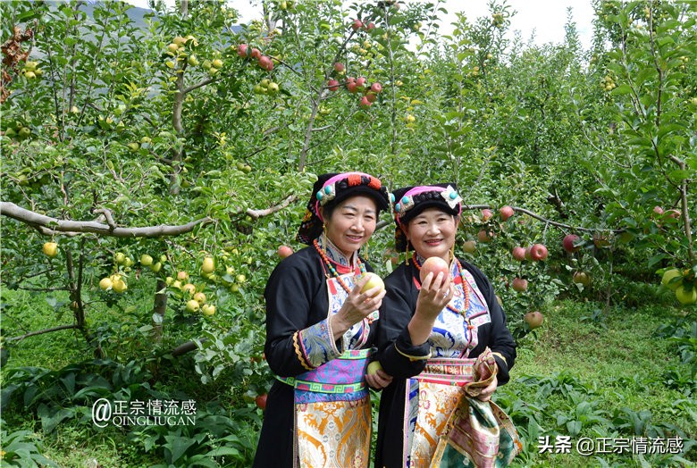 夜色成都串串爽，魅力小金苹果香#国庆中秋趣哪玩#