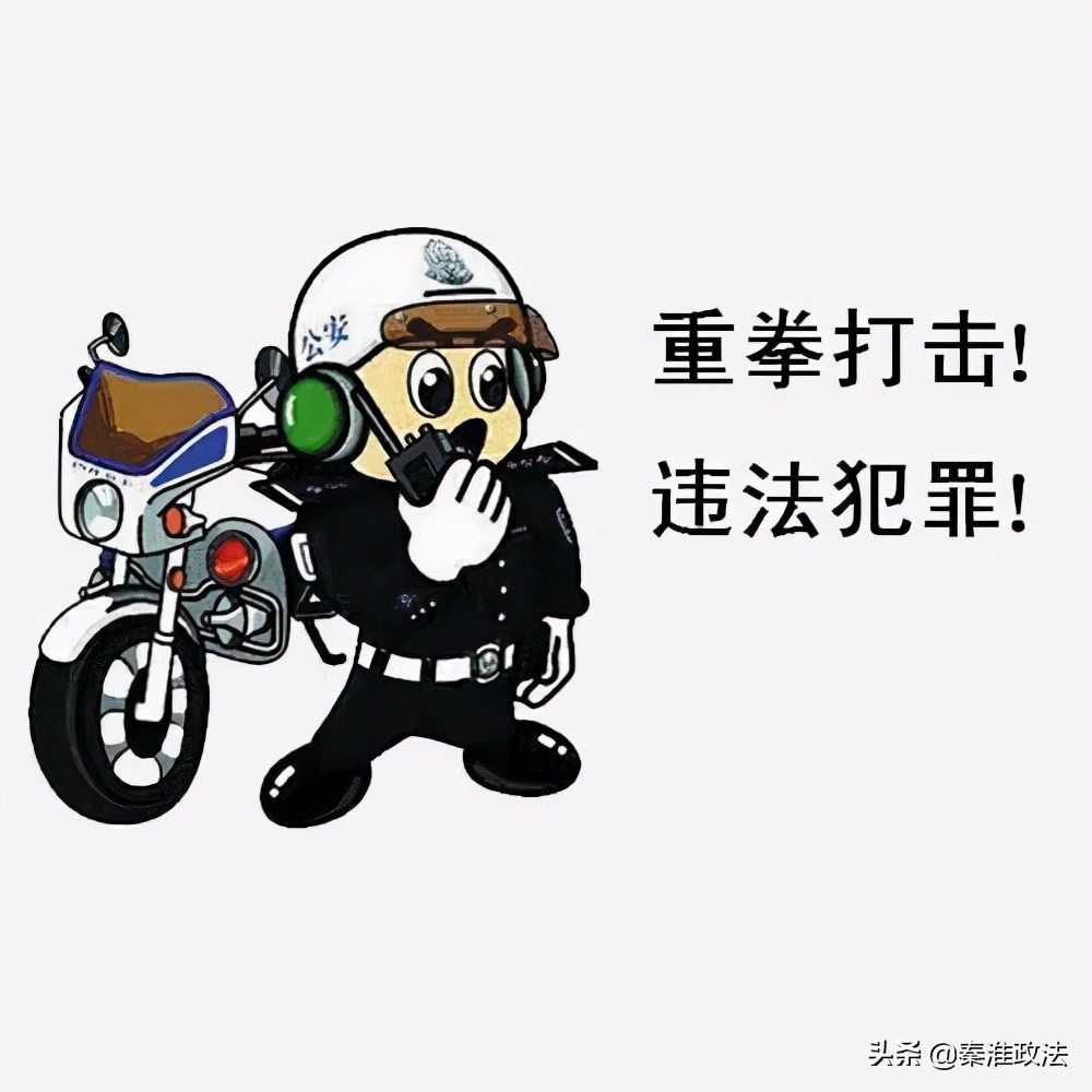 2002年豫皖特大系列杀人抢劫案,辽吉晋冀特大流窜抢劫案