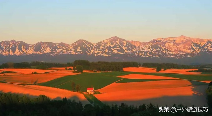 日本北海道富良野骑行攻略，试过在花田、花海中骑行吗？